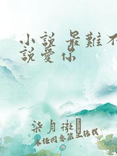 小说 最难不过说爱你