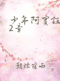 少年阿宾钰慧12章