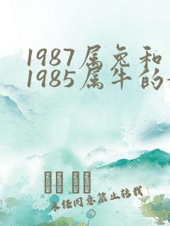 1987属兔和1985属牛的婚姻怎么样