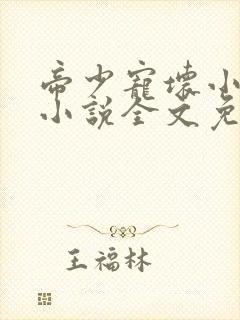 帝少宠坏小娇妻小说全文免费阅读