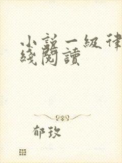 小说一级律师在线阅读
