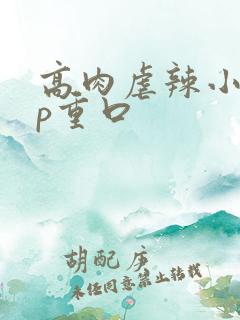高肉虐辣小说np重口