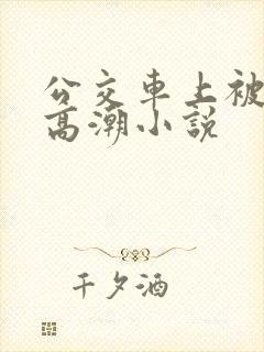 公交车上被摸到高潮小说