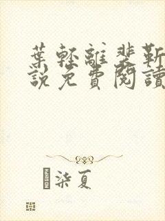 叶轻离裴靳墨小说免费阅读无弹窗