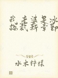 我老婆是冰山女总裁新章节沈浪