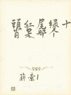 头红尾绿十二生肖是哪个