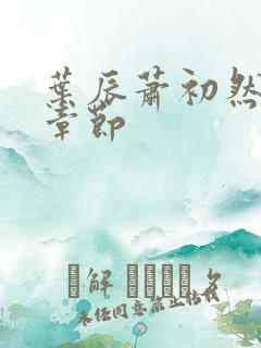 叶辰萧初然最新章节