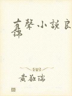 有声小说良陈美锦