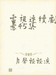 电视连续剧小娘惹45集