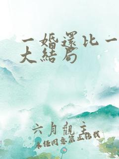 一婚还比一婚高大结局