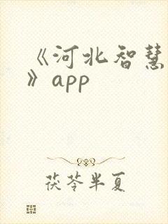 《河北智慧医保》app