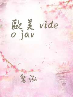 欧美 video jav
