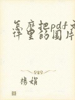 怎么把pdf文件里的图片压缩