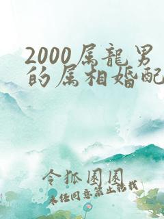 2000属龙男的属相婚配表