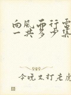 向风而行电视剧一共多少集