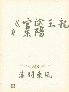 《官途玉龙天骄》叶阳