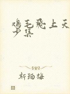 鸡毛飞上天共多少集