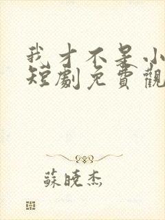 我才不是小可怜短剧免费观看全集