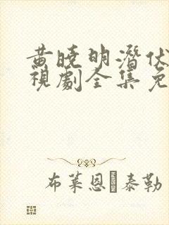 黄晓明潜伏者电视剧全集免费观看