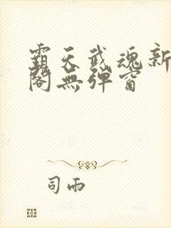 霸天武魂新笔趣阁无弹窗