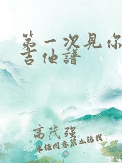 第一次见你的我吉他谱