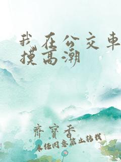 我在公交车上被摸高潮