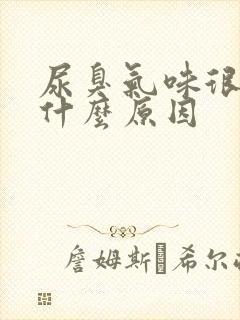 尿臭气味很重是什么原因
