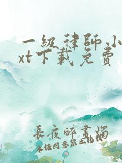 一级律师小说txt下载免费
