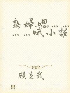 熟妇.嗯……啊……哦小说