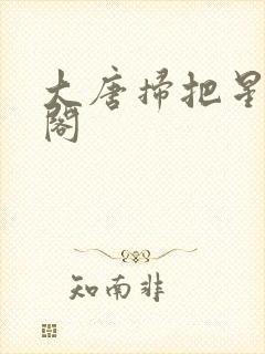 大唐扫把星笔趣阁
