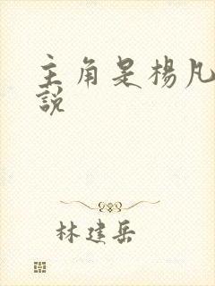 主角是杨凡的小说