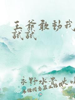 王爷敢动我妈咪试试