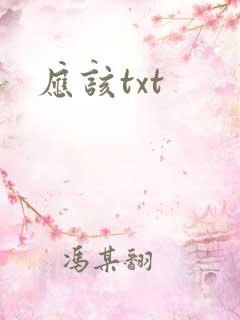 应该txt