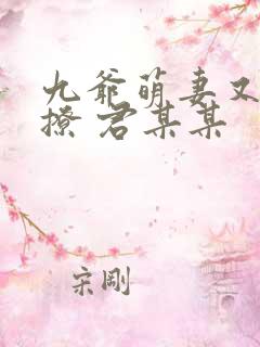 九爷萌妻又甜又撩 君某某
