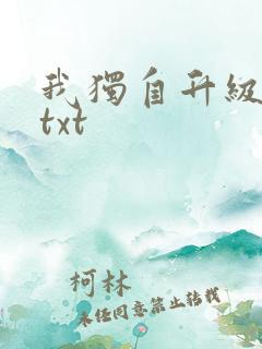 我独自升级原著txt