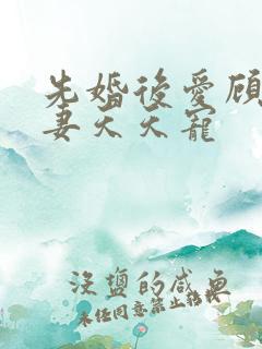 先婚后爱顾少娇妻天天宠