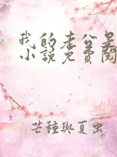 我的老公是鬼物小说免费阅读