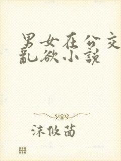 男女在公交车上乱欲小说