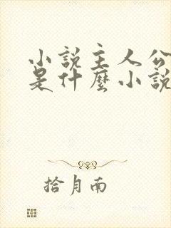 小说主人公叶玄是什么小说