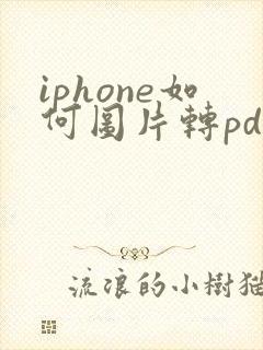 iphone如何图片转pdf文件