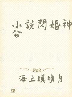 小说闪婚神秘老公