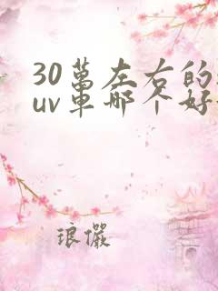 30万左右的suv车哪个好油电混合