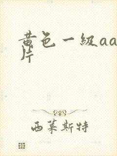 黄色一级aaa片