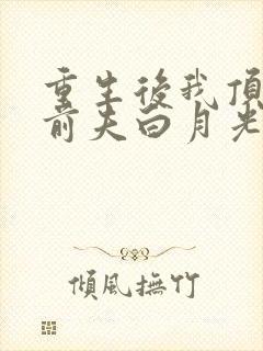 重生后我顶替了前夫白月光 完结