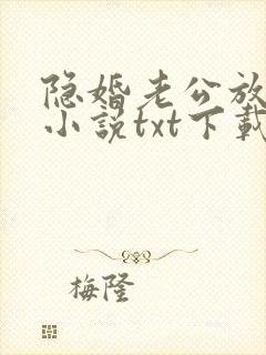 隐婚老公放肆宠小说txt下载
