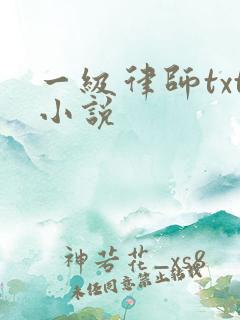 一级律师txt小说