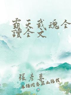 霸天武魂全文阅读全文