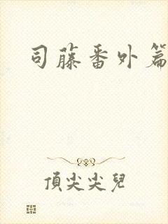 司藤番外篇