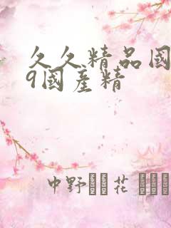 久久精品国产99国产精