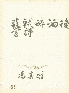 苏轼醉酒后的五首诗